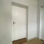 Spacious 2 Luxury Renovated Terrace Garage-madeleine